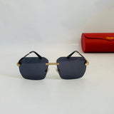 Cartier CT0828S prc