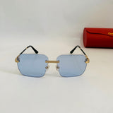 Cartier CT0828S prc