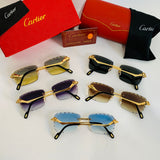 Cartier CT0342 S prc