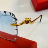 Cartier CT0342 S prc