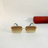 Cartier CT0342 S prc