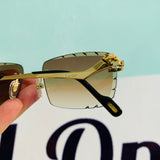 Cartier CT0342 S prc