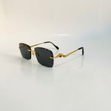 Cartier CT0342 S prc