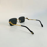 Cartier CT0342 S prc