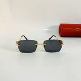 Cartier CT0342 S prc