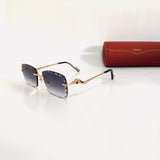 Cartier CT0342 S prc