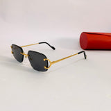 Cartier CT0092O S Luxe