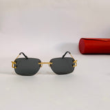 Cartier CT0330S prc S