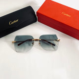 Cartier CT0004RS fm