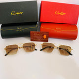 Cartier CT0308O S s-prc