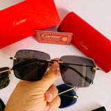 Cartier CT0336S prc