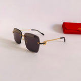 Cartier CT0336S prc