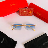 Cartier CT01846O S prc