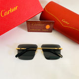 Cartier CT0296S