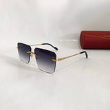 Cartier CT0296S