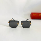 Cartier CT0296S