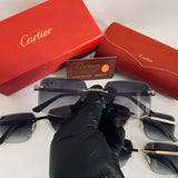 Cartier CT03491 S prc