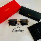 Cartier CT0543S prc