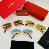 Cartier CT0343 S prc