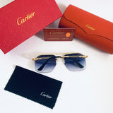 Cartier CT0478 S