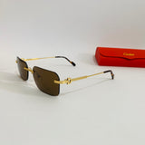 Cartier CT0271SA luxe