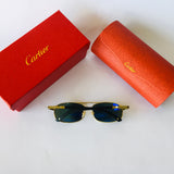 Cartier T8200578