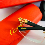 Cartier CT02870 prc Titanium