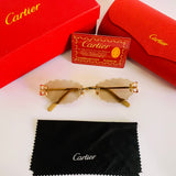 Cartier CT0599S Photochromique
