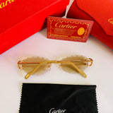 Cartier CT0599S Photochromique