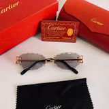 Cartier CT0599S Photochromique