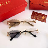 Cartier CT0599S Photochromique