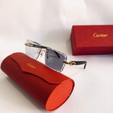 Cartier CT0528S prc