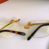 Cartier CT0281O Photochromic prc