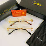 Cartier CT06116J Photochromique