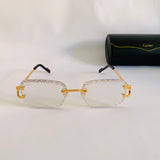 Cartier CT06116J Photochromique