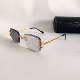 Cartier CT06116J Photochromique