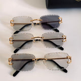 Cartier CT06116J Photochromique