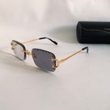 Cartier CT06116J Photochromique