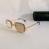 Cartier CT06116J Photochromique