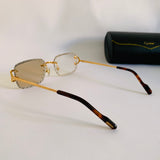 Cartier CT06116J Photochromique