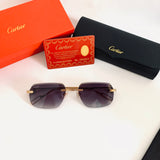 Cartier CT0114O S