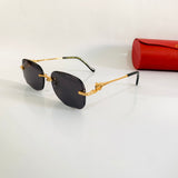 Cartier CT0687S prc fm