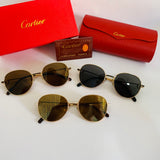 Cartier CT0335S
