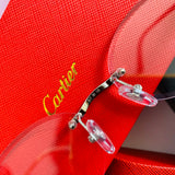 Cartier CT0504S