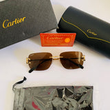 Cartier CT0330S prc