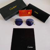 Cartier CT0331S Titanium