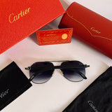 Cartier CT0272S Av Bois