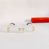 Cartier CT0092O PURE TITANIUM