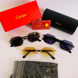 Cartier CT0439 S