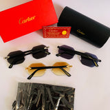 Cartier CT0439 S